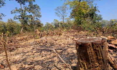 গারো পাহাড়ে আগুন: নেপথ্যে শালবাগান ধ্বংসের পাঁয়তারা