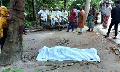 কাঠালিয়ায় কৃষকের ঝুলন্ত লাশ উদ্ধার