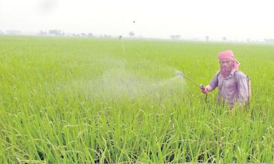 বাড়ছে মৃত্যুঝুঁকি