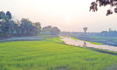 ঐতিহ্য, সংকট ও সম্ভাবনা