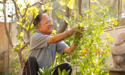 গৃহকৃষি: সহজ করবে জীবনযাত্রা