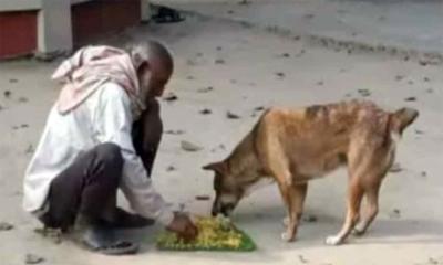 কুকুরের সঙ্গে খাবার ভাগাভাগি করা সেই তরুণ‍‍`কে পা বেঁধে হত্যা