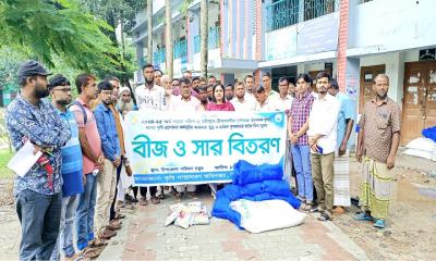 উল্লাপাড়ায় পেঁয়াজ উৎপাদন বৃদ্ধির লক্ষ্যে কৃষি প্রণোদনা