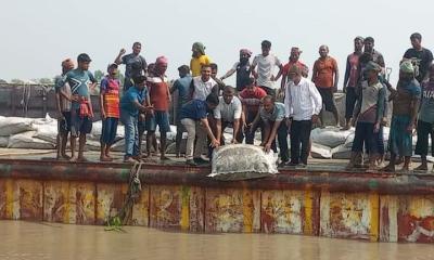 পাইকগাছায় নদী ভাঙ্গন রোধে ডাম্পিং কাজের উদ্বোধন