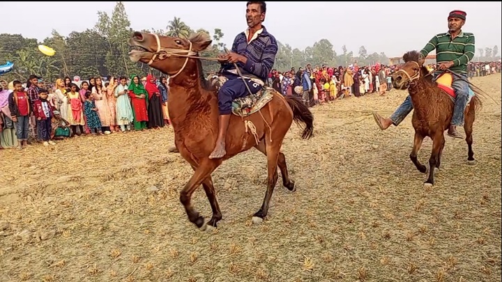 সরিষাবাড়ীতে ঘোড়দৌড় প্রতিযোগিতা দেখতে জনতার ঢল