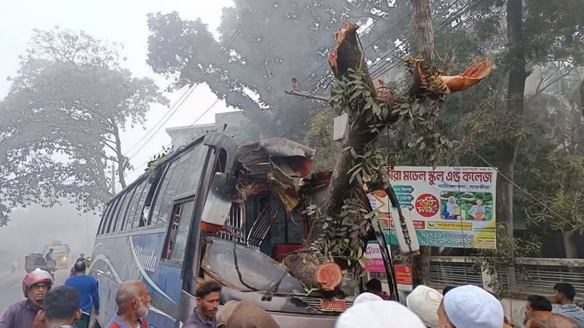 সাতক্ষীরায় নিয়ন্ত্রণ হারিয়ে গাছের সঙ্গে বাসের ধাক্কা, আহত ১৩