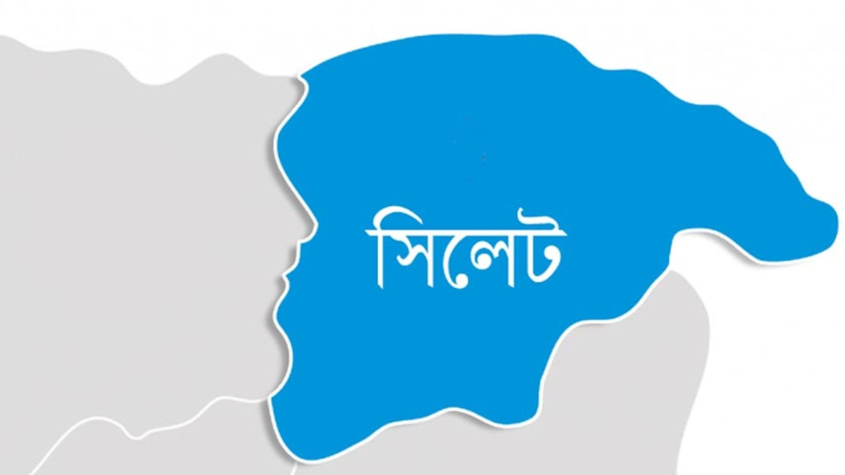 জাফলংয়ে ট্রাকের সঙ্গে বাসের ধাক্কায় আহত ৯