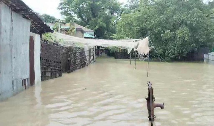 টানা বৃষ্টিতে নিম্নাঞ্চল প্লাবিত কুতুবদিয়া