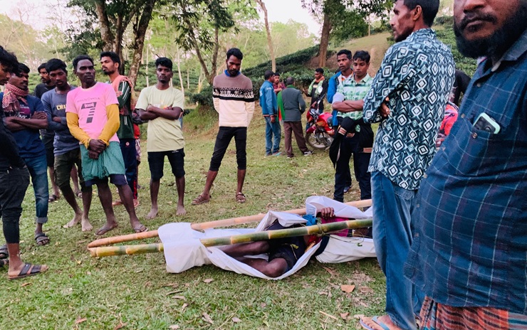 চা শ্রমিককে গুলি করে হত্যা করেছে বিএসএফ: অভিযোগ পরিবারের