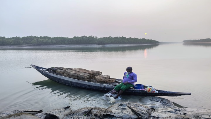 দুই মাস সুন্দরবনে কাঁকড়া ধরা নিষেধ