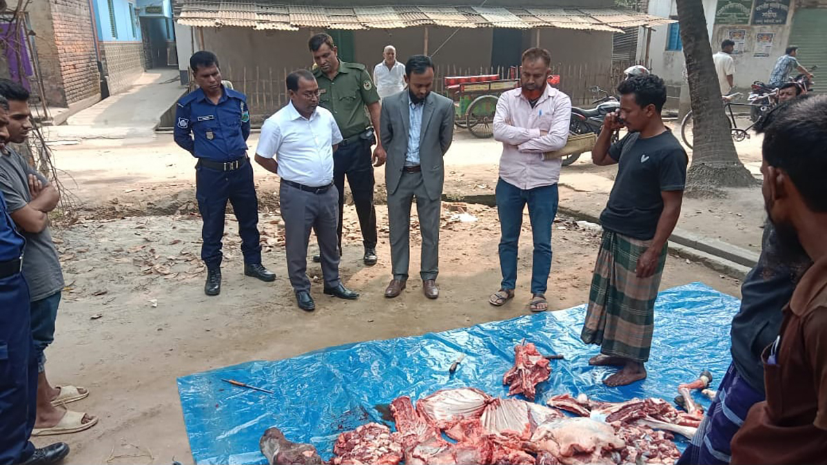 ধামইরহাটে অসুস্থ গরুর মাংস বিক্রি: ব্যবসায়ীকে জরিমানা