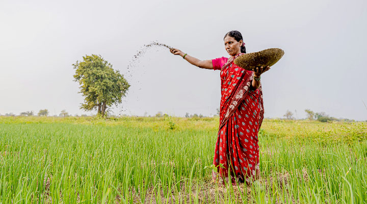 যে সার সুস্থ রাখে কৃষিকে