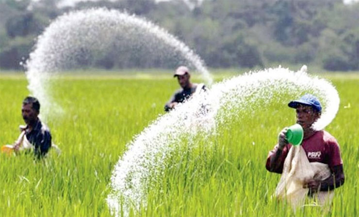 ১ লাখ ৫০ হাজার টন সার কিনবে সরকার