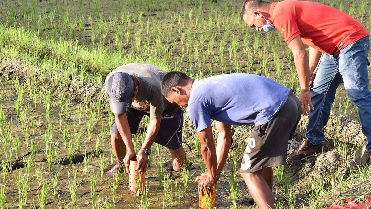 কৃষিতে এডব্লিউডি সেচ পদ্ধতি