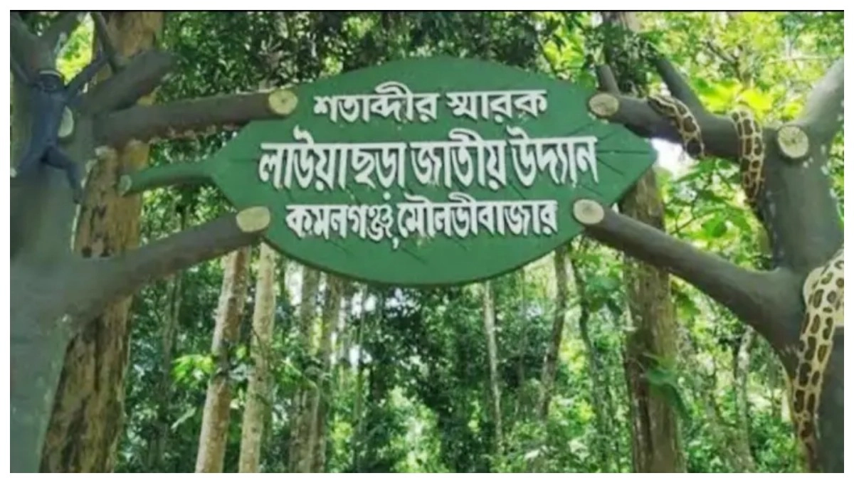 প্রাণীদের পদচারণায় মুখরিত লাউয়াছড়া জাতীয় উদ্যান