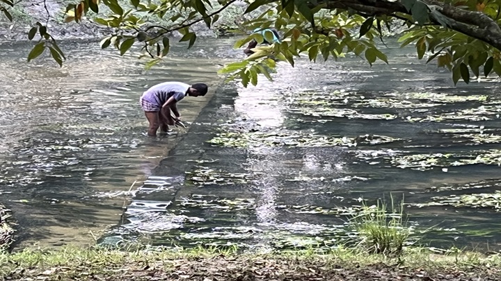 নিষিদ্ধ জালে নির্বিচারে মাছ শিকার