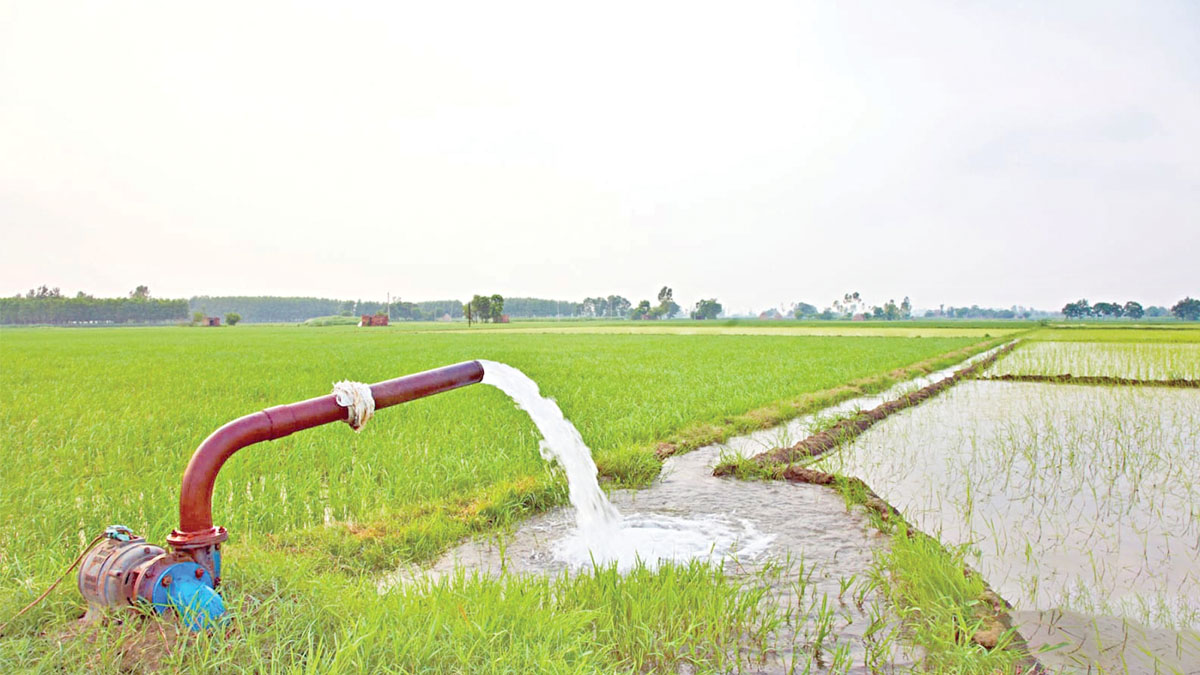 শীত পরবর্তী কৃষির প্রস্তুতি