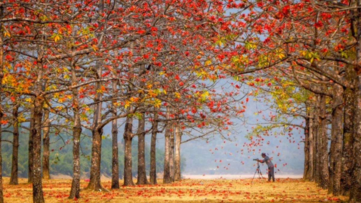 ফাগুনে সৌন্দর্যের আগুন লাগে