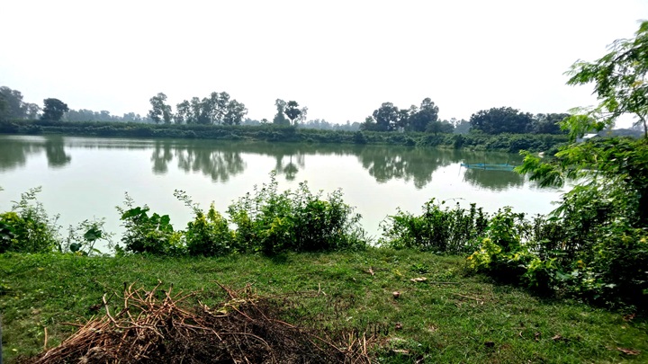 উল্লাপাড়ায় ৫ পুকুর লিজের ৮৮ লাখ টাকা আত্মসাতের অভিযোগ