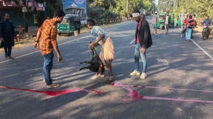 সড়ক দুর্ঘটনা রোধে মহাসড়কে ছিটানো হল রক্ত!