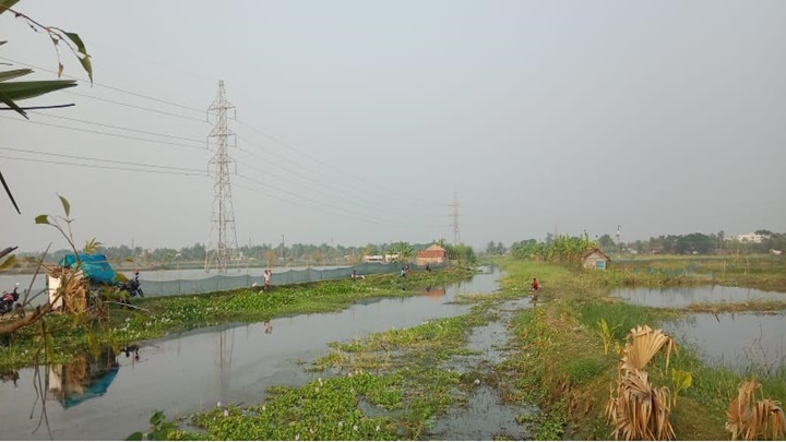 তালায় স্থায়ী জলাবদ্ধতার কারনে বোরো আবাদ অনিশ্চিত