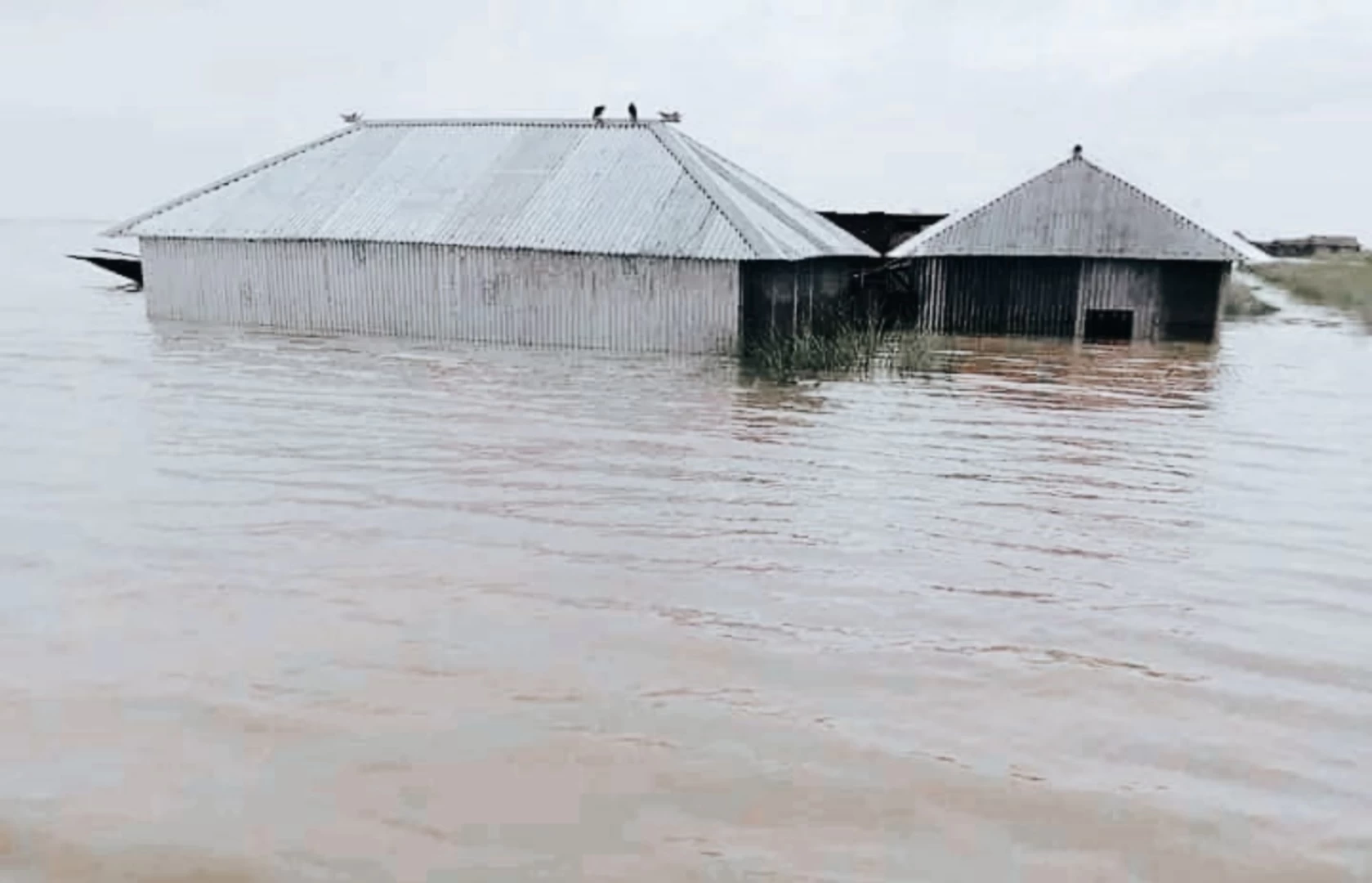 ভারী বর্ষণে বাড়ছে তিস্তার পানি, বন্যার শঙ্কা