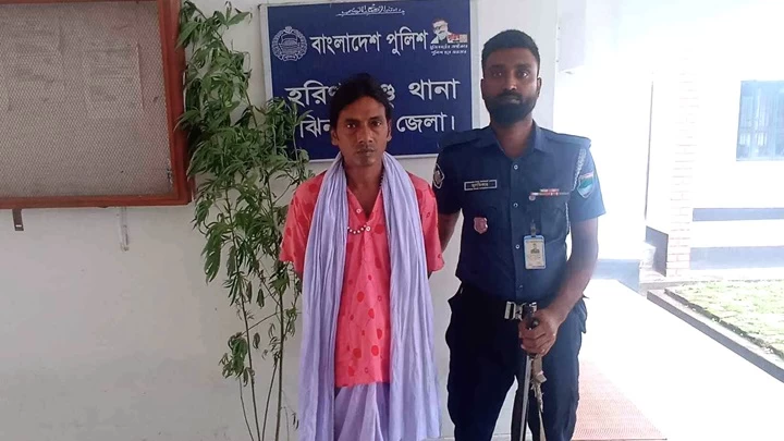 হরিণাকুন্ডুতে বেগুন খেতে আড়ালে গাঁজা চাষ, গ্রেফতার এক