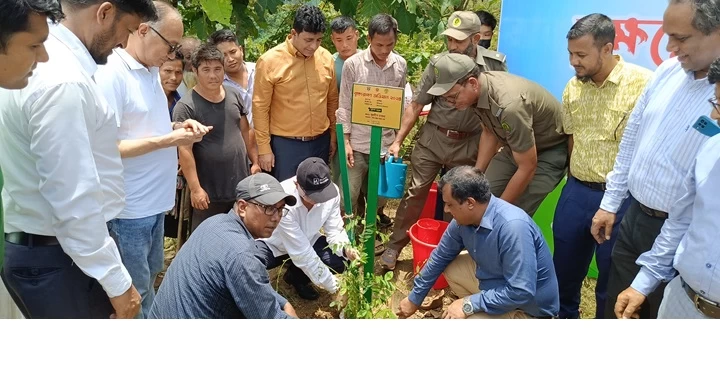 ‘আই লাভ রাঙামাটি’র সড়কের দু’পাশে বৃক্ষরোপণ