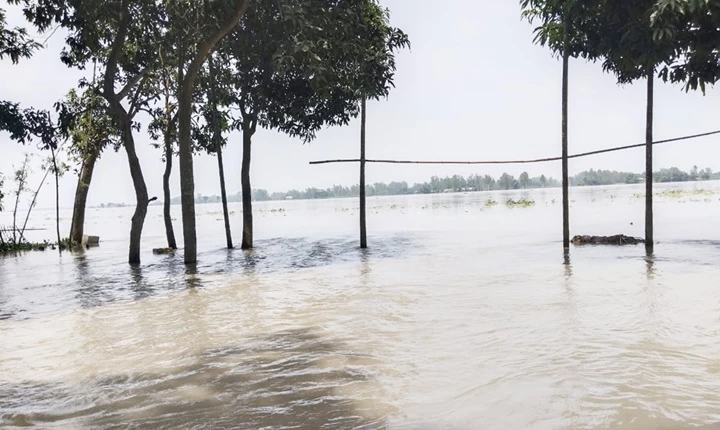 নাগেশ্বরীতে বাঁধ ভেঙে তলিয়ে যাচ্ছে বিস্তীর্ণ জনপদ